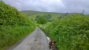 WP_20140522_12_00_59_Pro