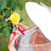 rosie gardening 02 facebook wp