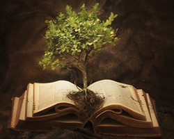 one_treeinbook_001
