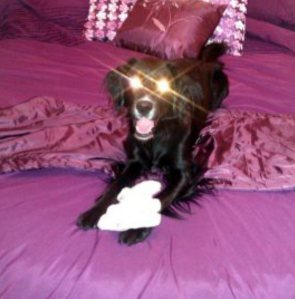 20409_10151162480667852_1460446639_n