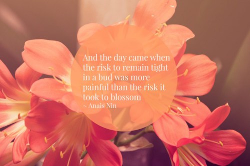 Anais-Nin-quote-e1414097931131