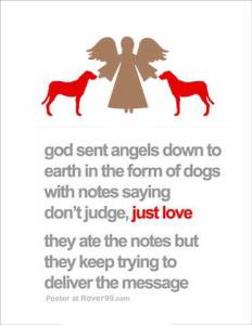 10152604_775422119171669_7101000477178777555_n