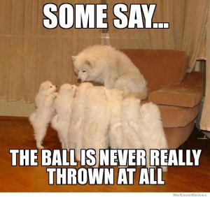 storytelling-dog-ball-meme
