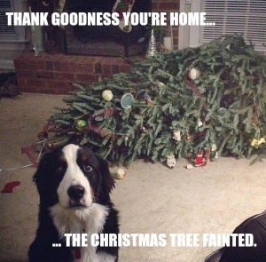 vcgbx-dog-tree-funny