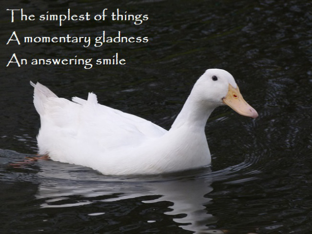 The simplest of things, a momentary gladness, an answering smile.