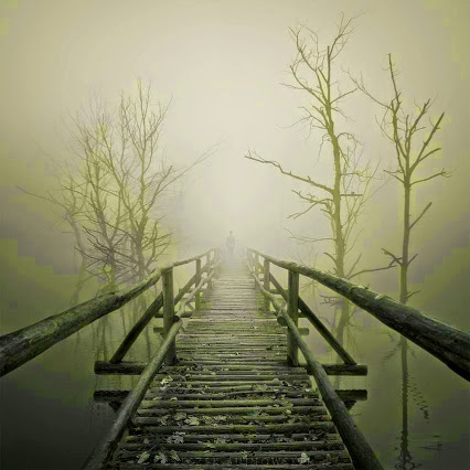 1466264_10151863095021319_789027115_n