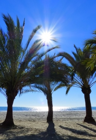 The Director isn’t happy