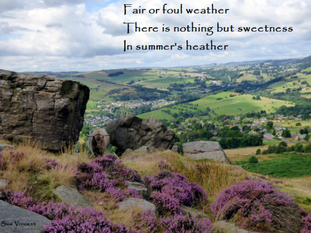 X heather weekend 159