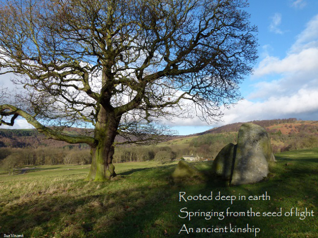 Rooted deep in earth Springing from the seed of light An ancient kinship