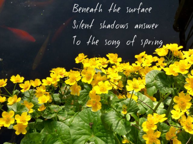 Beneath the surfaceSilent shadows answerTo the song of spring