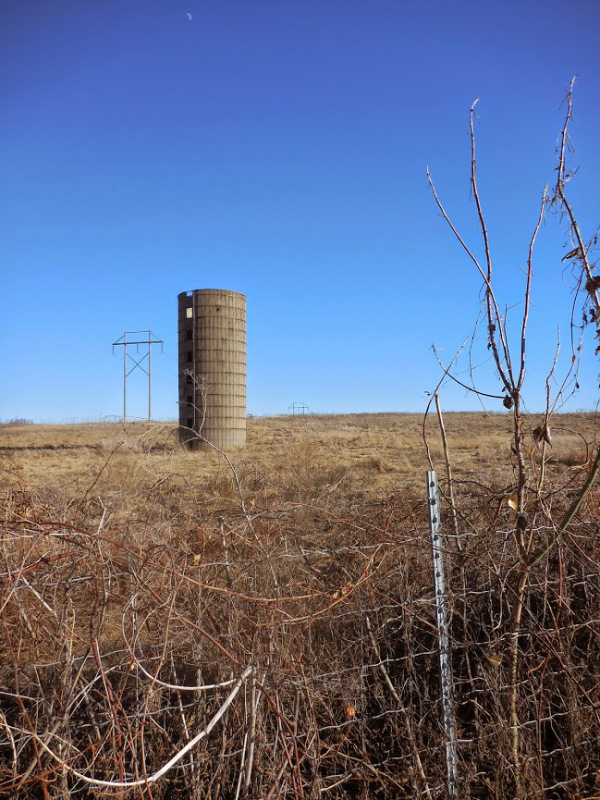 ©Marie Gail Stratford