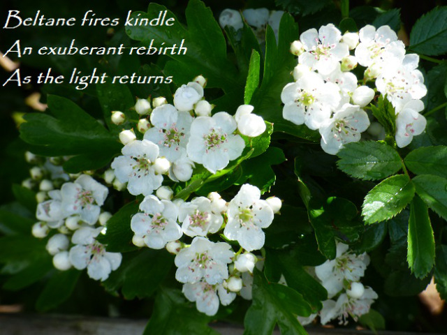 Beltane fires kindle An exuberant rebirth As the Light returns