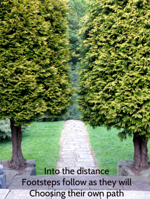 Into the distance Footsteps follow as they will Choosing their own path
