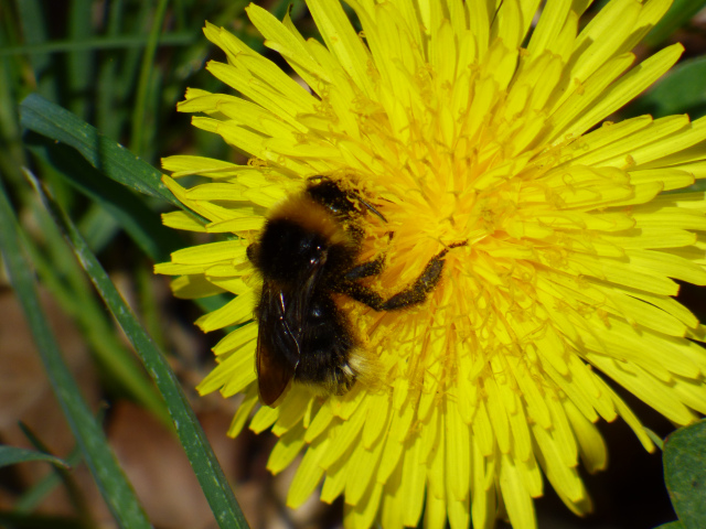 river of the sun SE15 045