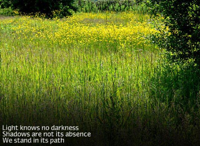 Light knows no darkness Shadows are not its absence We stand in its path