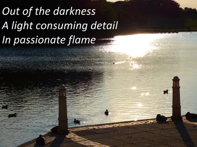 Out of the darkness A light consuming detail In pssionate flame