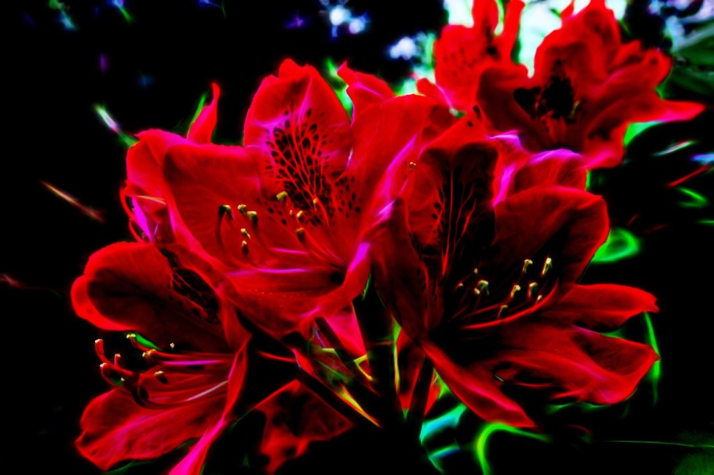 Hybride flower power