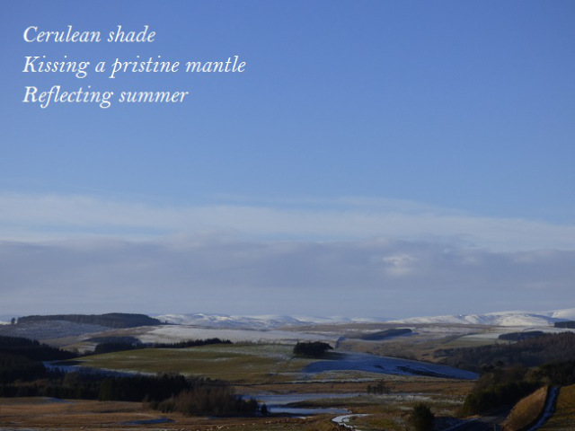 Cerulean shade Kissing a pristine mantle Reflecting summer 