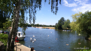 Windsor to Bray (C) Jane Risdon 2015