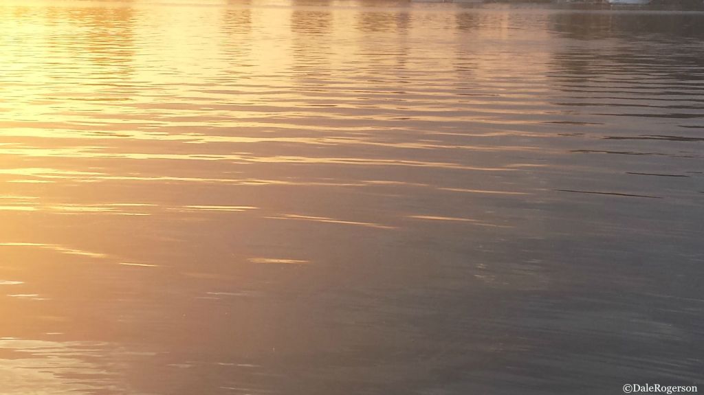 Gratitude Sunday – August 16,&nbsp;2015