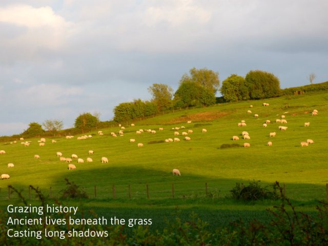 Grazing history Ancient lives beneath the grass Casting long shadows