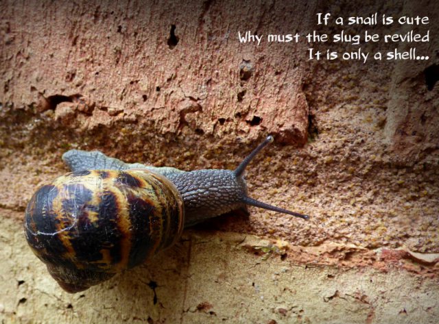 If a snail is cuteWhy must the slug be reviledIt is only a shell...