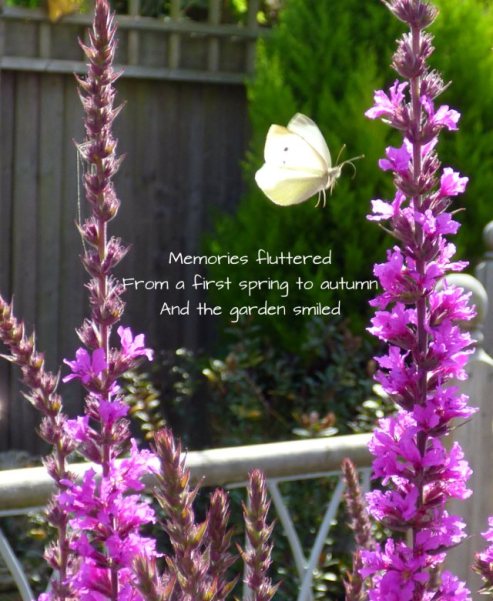 Memories fluttered From a first spring to autumn And the garden smiled