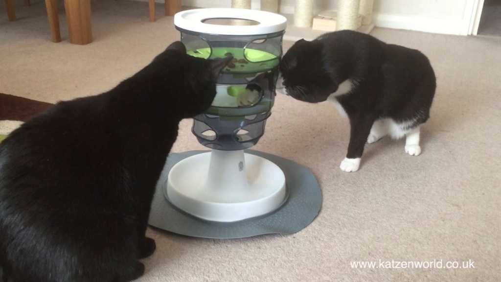 Oliver & Nubia: Part 3 of our Vet’s Kitchen&nbsp;giveaway!