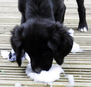 283153_10150245511972852_3588941_n