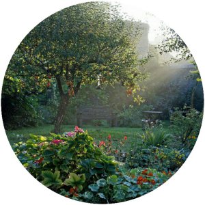 6227658611_1ed65a3c29_z_kindlephoto-54032403