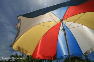 Summer sun on New Year 2015.