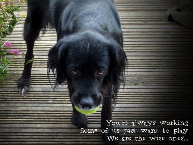 You're always working Some of us just want to play We are the wise ones...