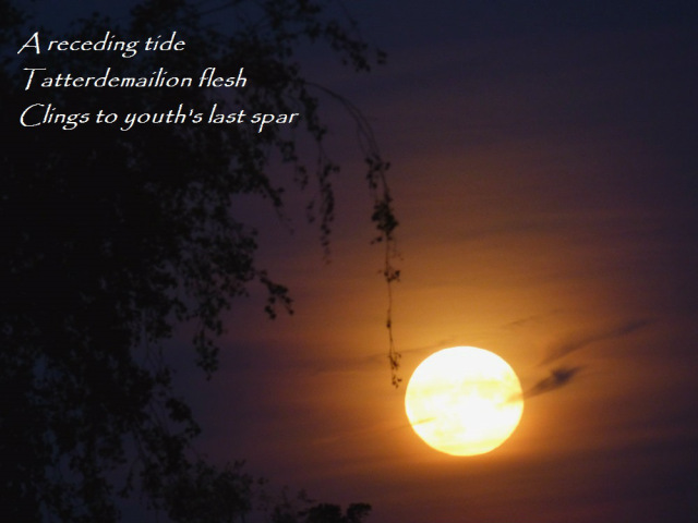 A receding tide Tatterdemalion flesh Clings to youth's last spar