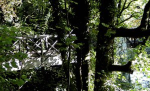 Nine Deadly 33 Journeys imageAA