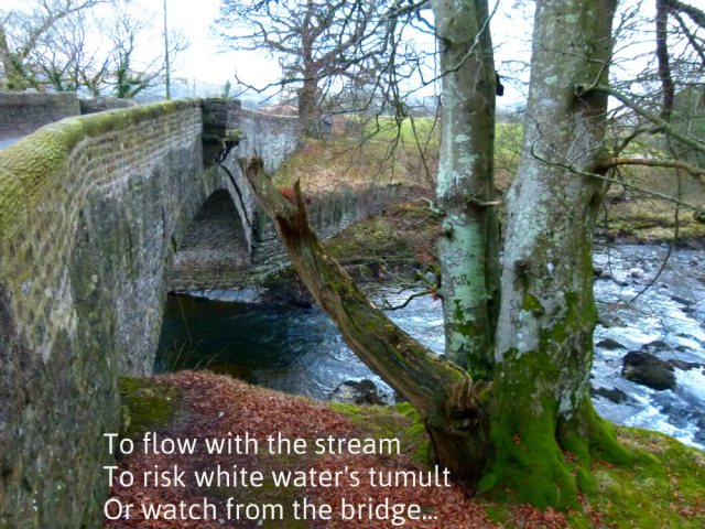 To flow with the stream To risk white water's tumult Or watch from the bridge...