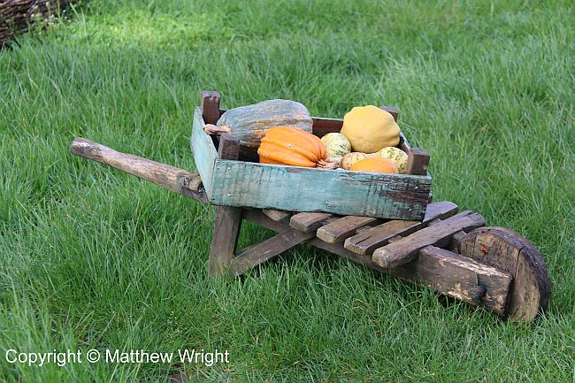 Set dressing: a wheelbarrow - Hobbit-sized - in Hobbiton.