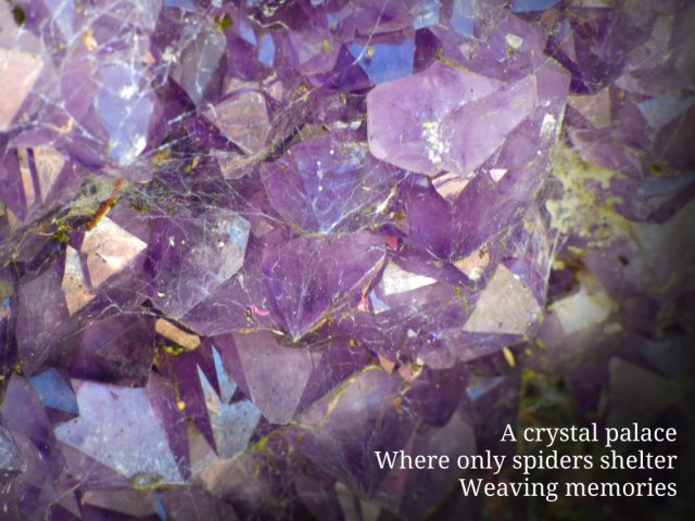 A crystal palace Where only spiders shelter Weaving memories