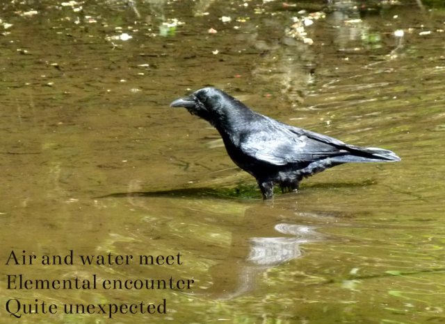 Air and water meet Elemental encounter Quite unexpected