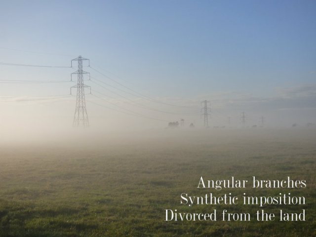 Angular branches Synthetic imposition Divorced from the land