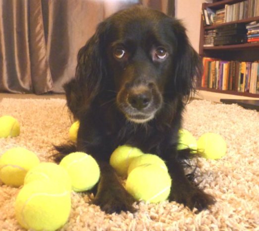 ani balls dark rainbow 007