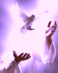 cefcbbd249a7537a7c089c56102c2d47