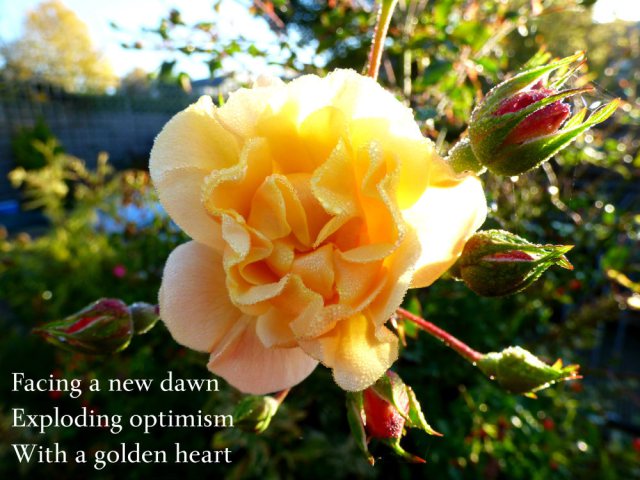 Facing a new dawn Exploding optimism With a golden heart