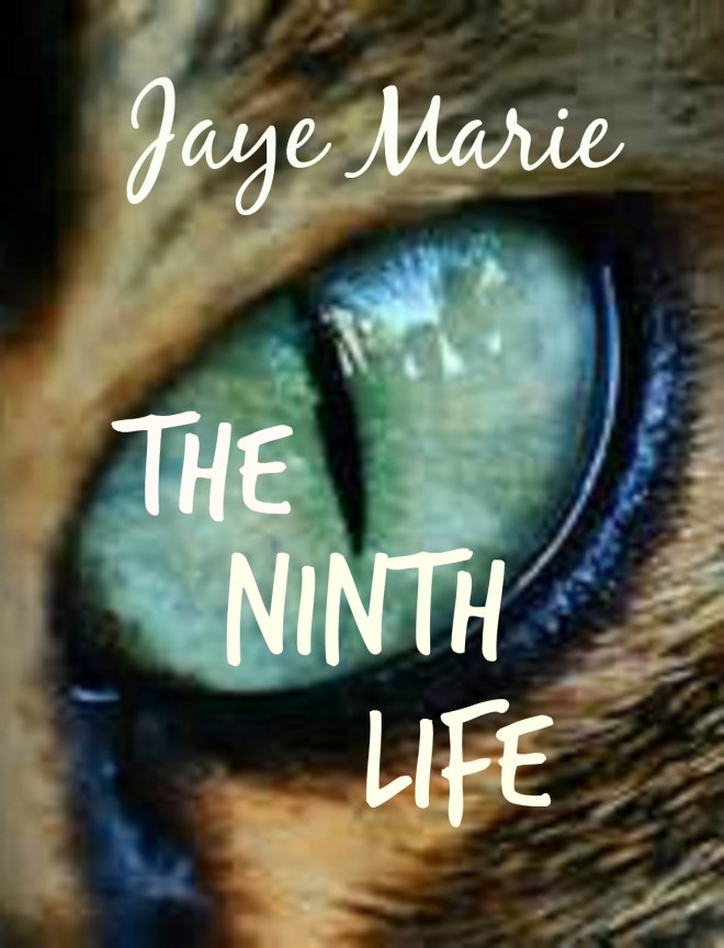 ninth life_kindle