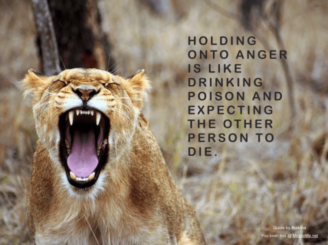 Screen Shot 2015-11-08 at 12.31.52 am