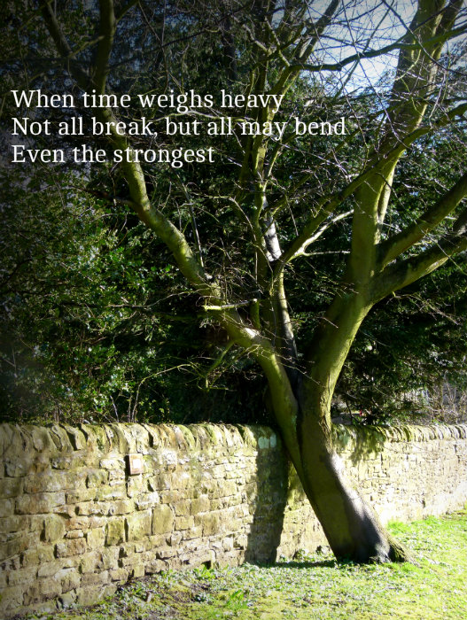 When time weighs heavy Not all break, but all may bend Even the strongest
