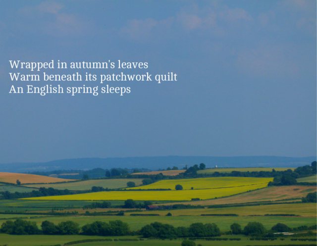Wrapped in autumn's leaves Warm beneath its patchwork quilt An English spring sleeps