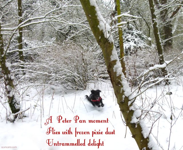 A Peter Pan moment Flies with frozen pixie dust Untrammelled delight