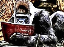 Stevie interviews Chris, the Story Reading&nbsp;Ape