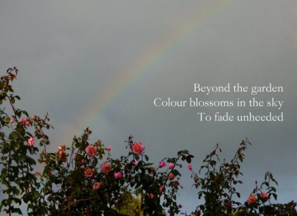 Beyond the garden Colour blossoms in the sky To fade unheeded