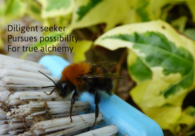 Diligent seeker Pursues possibility For true alchemy